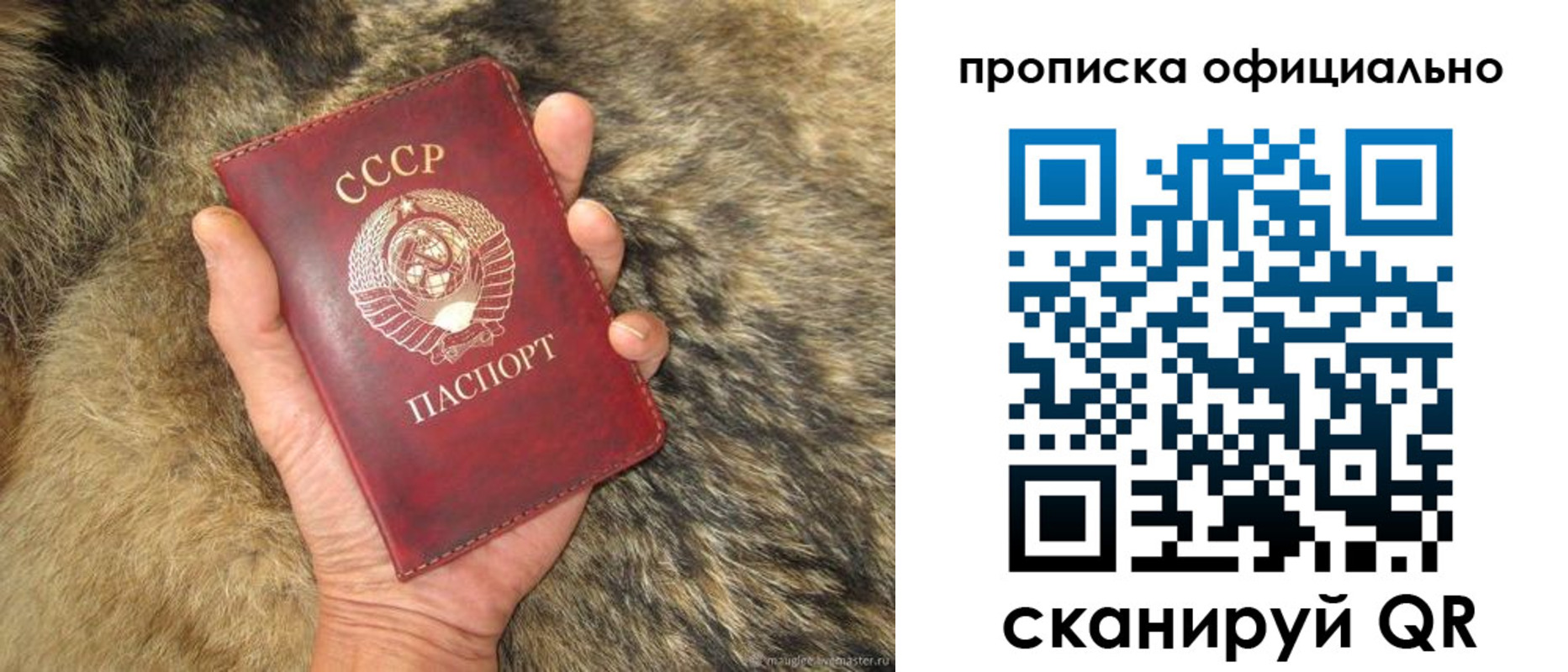 прописка паспорт в Норильске